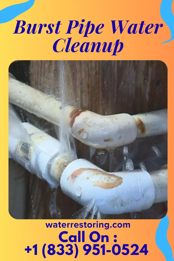 Burst Pipe Water Cleanup in Avalon, MO