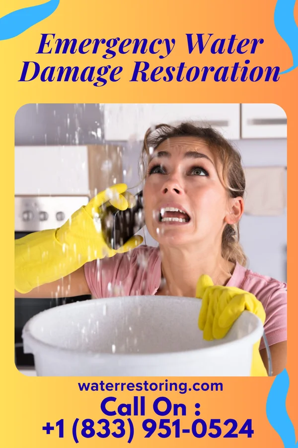 Emergency Water Damage Restoration in Avalon, MO